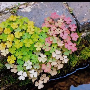 紫川秀