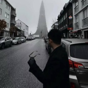 白鹭